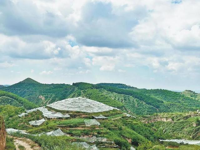 米脂县高西沟村大力推动特色农业、水保文化、生态旅游融合发展——绿妆重染好山水生态向美百姓富(图2)