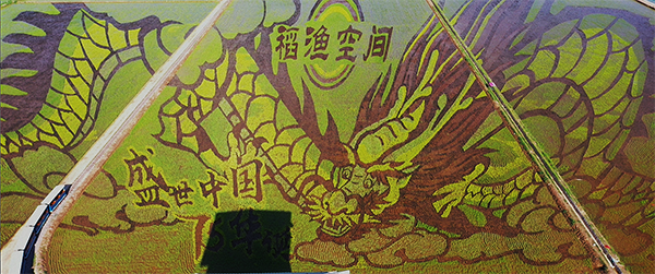 宁夏回族自治区银川市金凤区、西夏区、贺兰县银川生态欢乐游(图2)