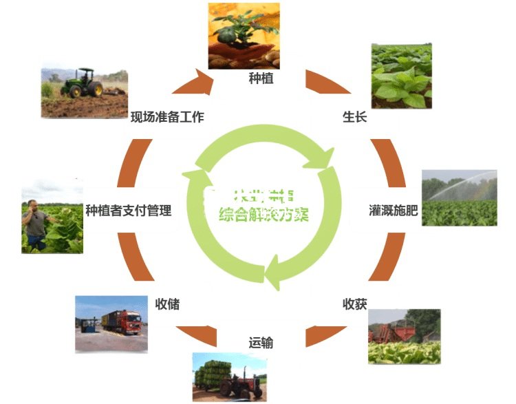 生态农业是什么？生态农业有哪几种经营模式？(图1)