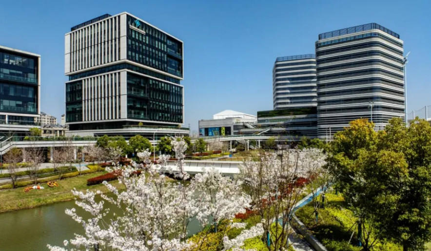 助力科技企业出海、展示大健康产业成果！长三角绿洲智谷·赵巷加速融入进博会“生态圈”(图3)