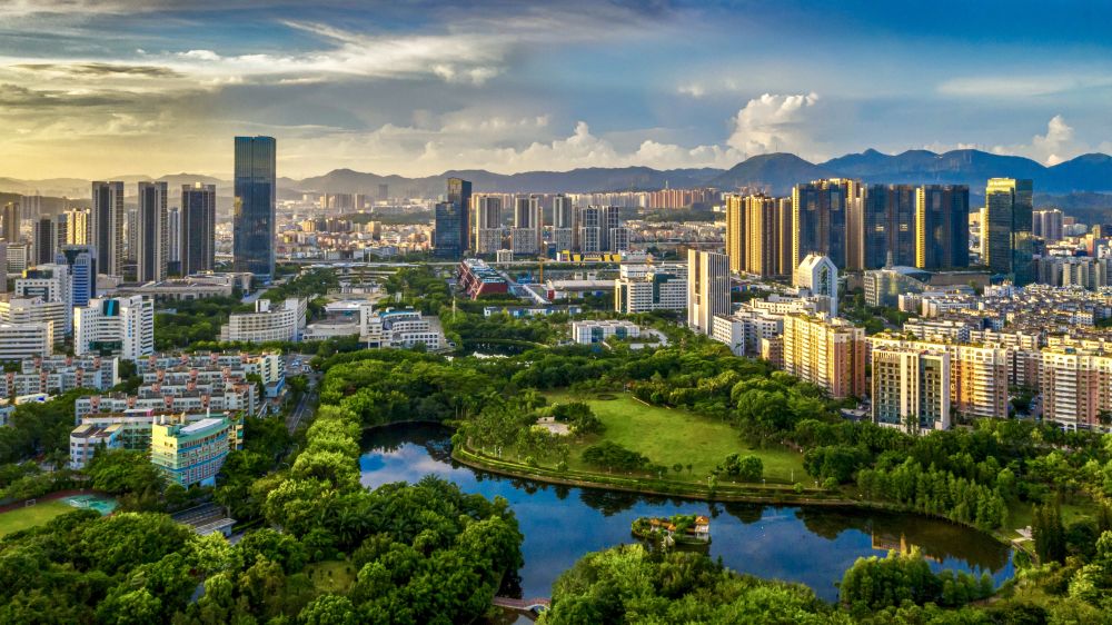 在深圳龙岗感受大湾区科创脉动营商生态向阳而生(图4)