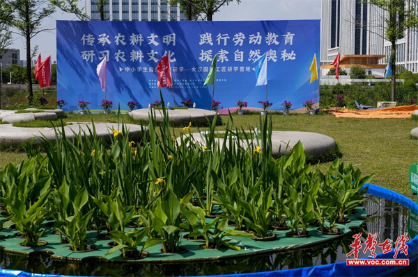 传承非遗技艺探索科技农耕耀华高级中学赴大汉研学基地开展多元文化实践之旅(图3)