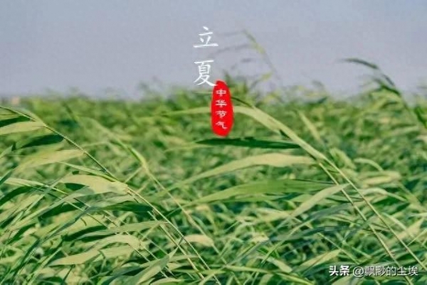 “立夏日晴必有旱情”明日立夏多地天晴(图1)