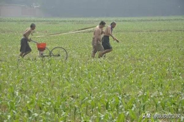 “立夏日晴必有旱情”明日立夏多地天晴(图3)