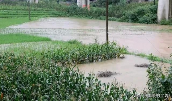 “立夏日晴必有旱情”明日立夏多地天晴(图4)