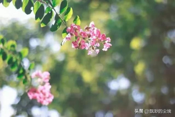 “立夏日晴必有旱情”明日立夏多地天晴(图5)