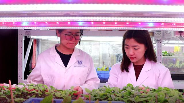 打造西部创新强磁场重庆升级建设环大学创新创业生态圈(图3)