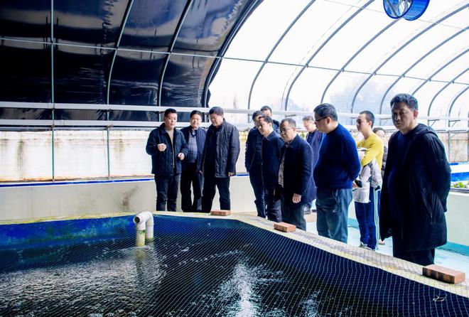 中国科学院桂建芳院士一行到访重庆金玖生态农业考察调研(图2)
