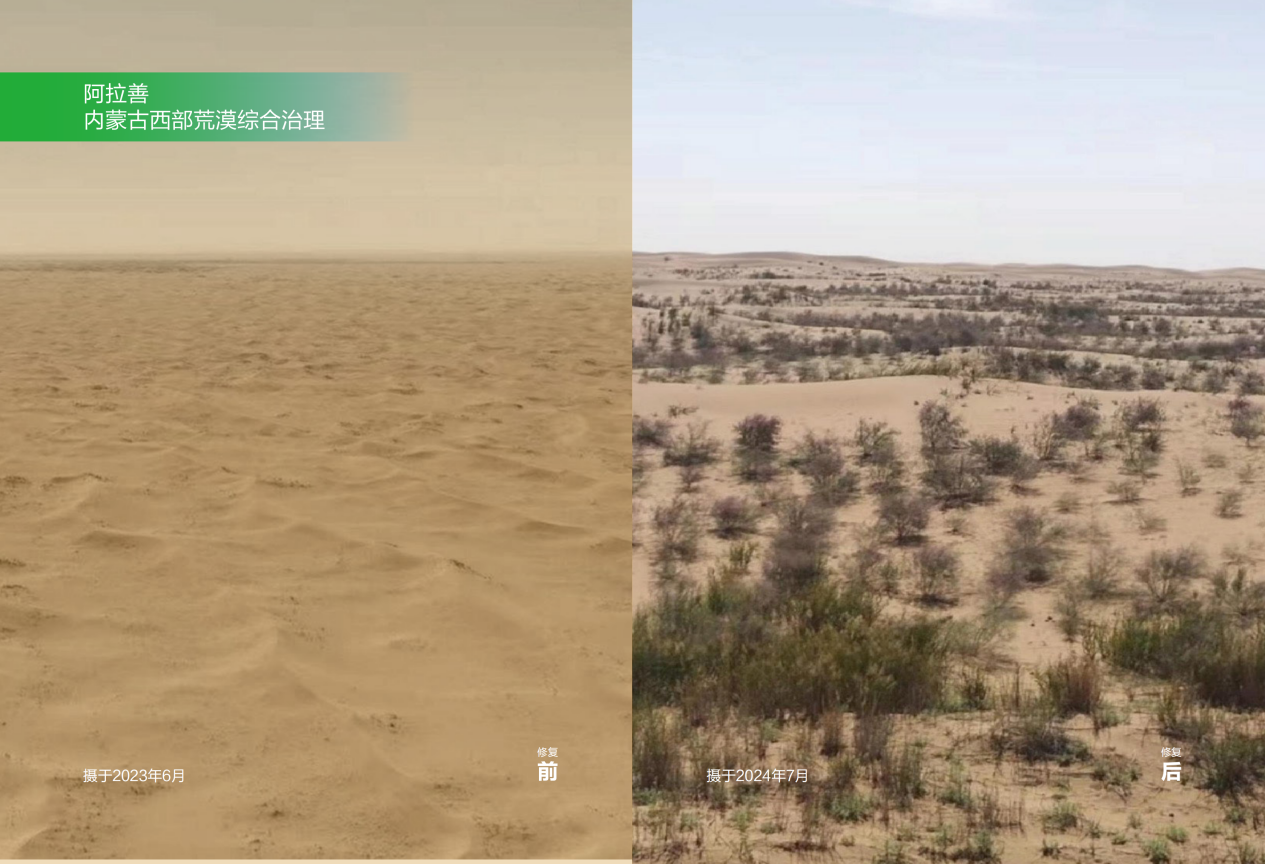 草种科技保障长效生态治理蒙草生态获204亿元治理项目(图2)