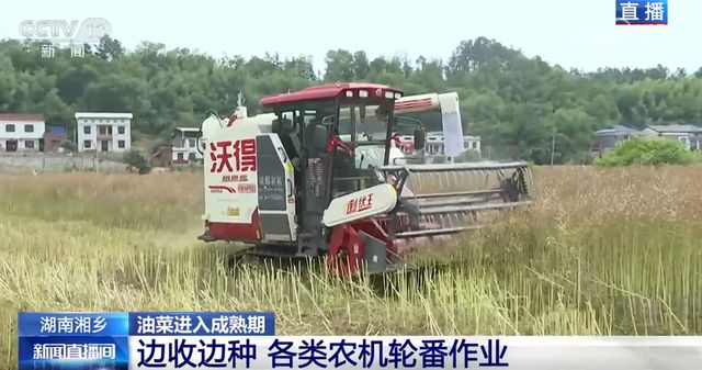 科技赋能农业生产描绘出一幅幅“数字耕作图”希望的田野“新”潮澎湃(图3)