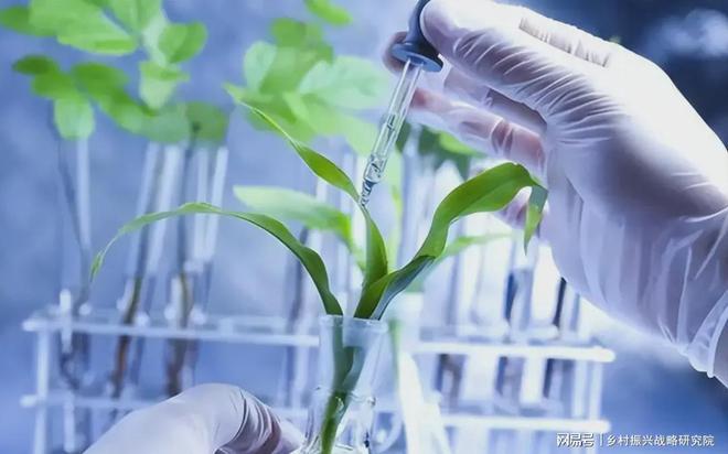 西北地区农业科技创新典型案例分析(图3)