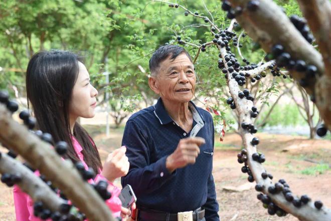 四季果香引客来生态农业谱新篇(图2)