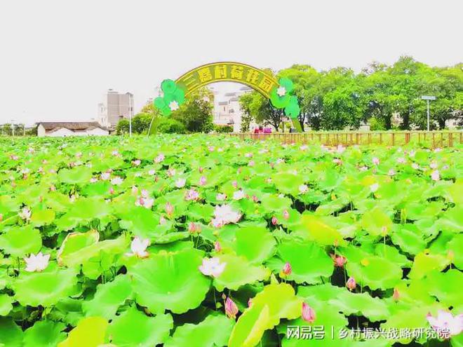 农业旅游中特色种植的成功案例研究(图2)