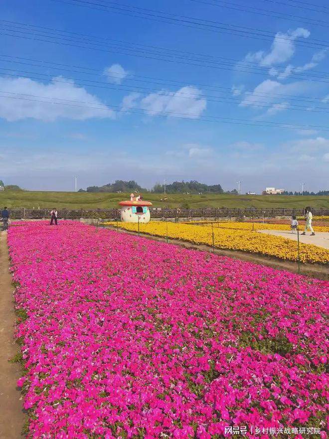 农业旅游中特色种植的成功案例研究(图1)