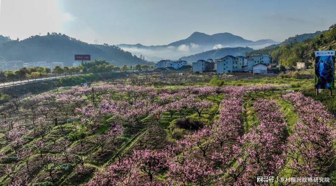 农业旅游中特色种植的成功案例研究(图5)