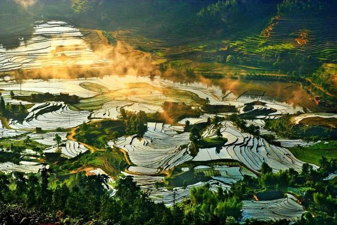 【农业地理】高考地理中的梯田！鱼鳞坑和鱼鳞坝(图1)