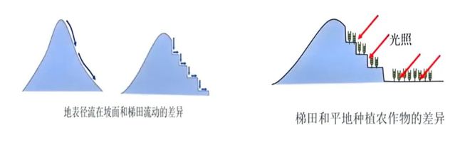 【农业地理】高考地理中的梯田！鱼鳞坑和鱼鳞坝(图3)