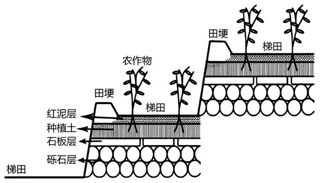【农业地理】高考地理中的梯田！鱼鳞坑和鱼鳞坝(图4)