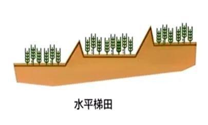 【农业地理】高考地理中的梯田！鱼鳞坑和鱼鳞坝(图7)