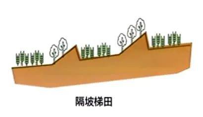 【农业地理】高考地理中的梯田！鱼鳞坑和鱼鳞坝(图8)