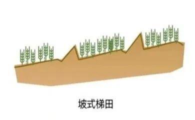 【农业地理】高考地理中的梯田！鱼鳞坑和鱼鳞坝(图10)