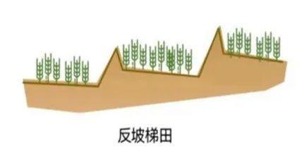 【农业地理】高考地理中的梯田！鱼鳞坑和鱼鳞坝(图12)