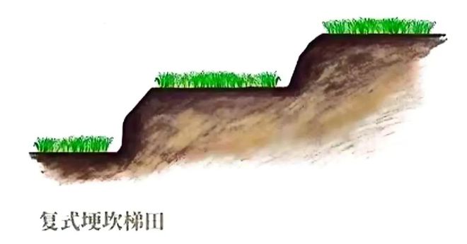 【农业地理】高考地理中的梯田！鱼鳞坑和鱼鳞坝(图14)