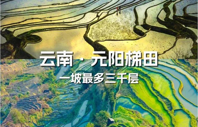 【农业地理】高考地理中的梯田！鱼鳞坑和鱼鳞坝(图15)