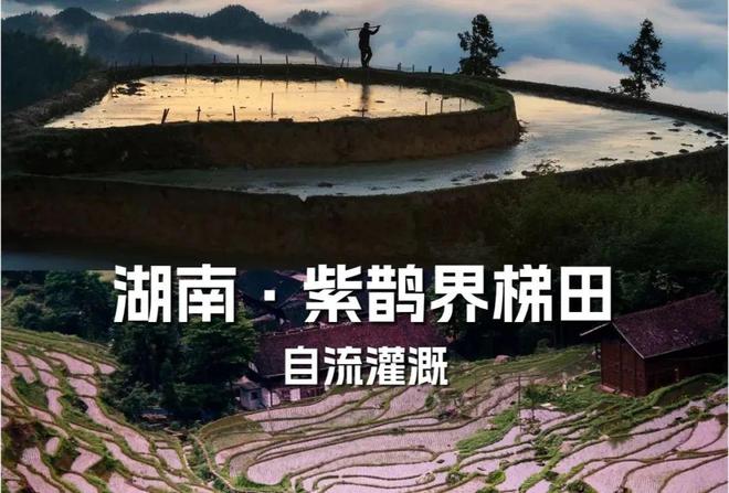 【农业地理】高考地理中的梯田！鱼鳞坑和鱼鳞坝(图18)