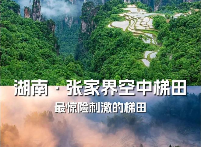 【农业地理】高考地理中的梯田！鱼鳞坑和鱼鳞坝(图21)