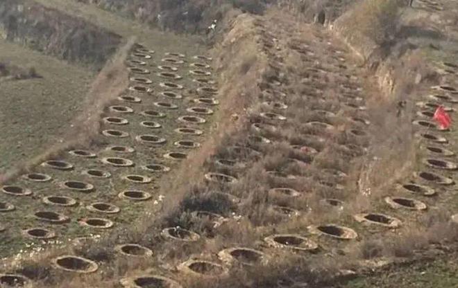 【农业地理】高考地理中的梯田！鱼鳞坑和鱼鳞坝(图26)