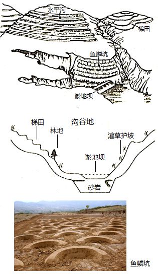 【农业地理】高考地理中的梯田！鱼鳞坑和鱼鳞坝(图30)