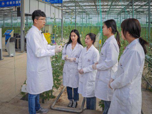 强农先锋丨金炳奎：科技育种守护农业“中国芯”(图4)