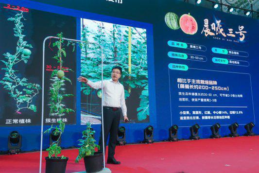 强农先锋丨金炳奎：科技育种守护农业“中国芯”(图5)