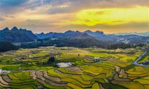 生态农业市场现状及前景分析2023(图2)