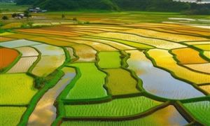 生态农业市场现状及前景分析2023(图4)