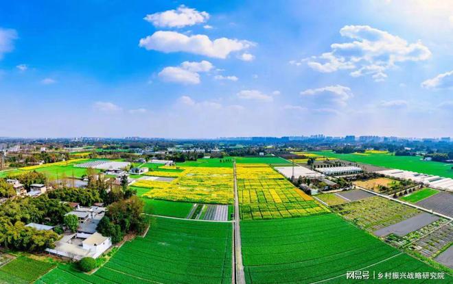 国家农业科技园区作为现代农业发展的关键载体其重要性愈发凸显(图1)
