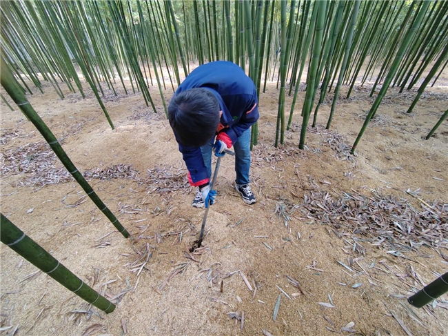 智耕：全链布局推动绿色农业发展(图2)