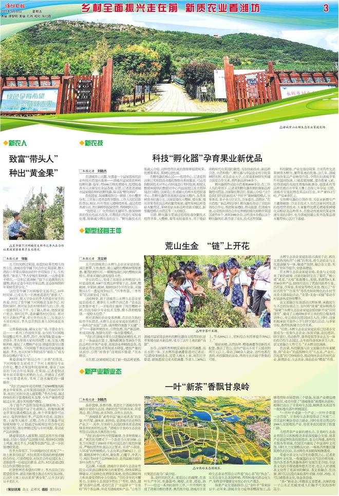 乡村全面振兴走在前新质农业看潍坊·新农人丨致富“带头人”种出“黄金果”(图1)