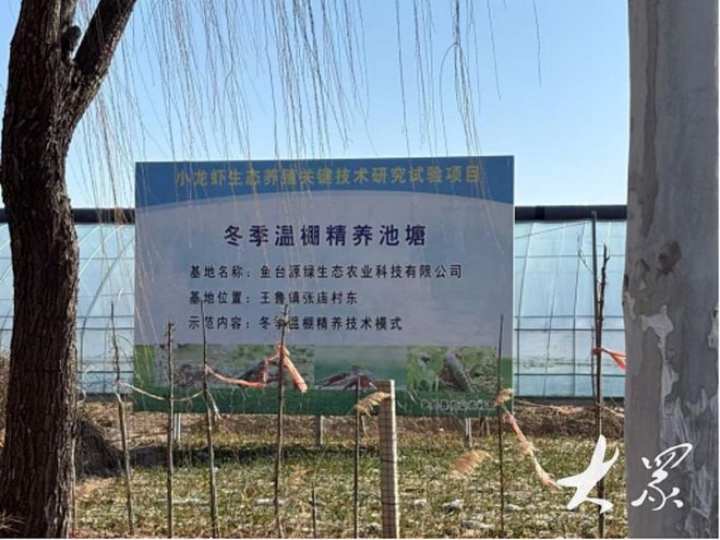 破解“冬荒”困局！鱼台小龙虾冬养成功(图3)