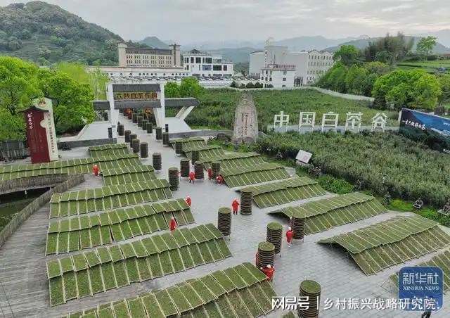 国家级农业项目成功案例深度解析(图1)