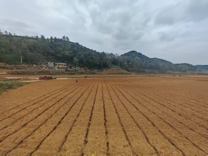 助力农业强国建设的绿色引擎(图3)