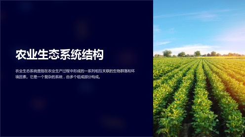 农业生态系统结构(图3)