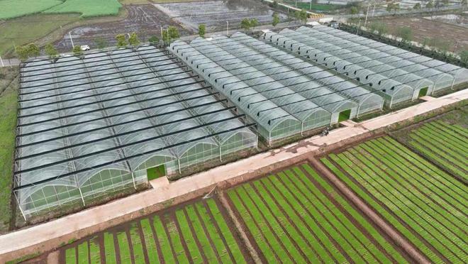 高考地理中的郊区农业(图3)