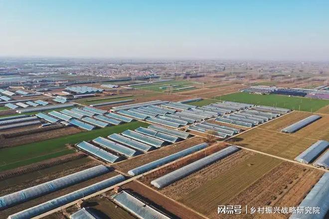 河北省国家农业产业强镇发展现状分析报告（2025年）(图2)