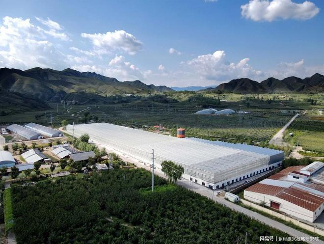 河北省国家农业产业强镇发展现状分析报告（2025年）(图3)