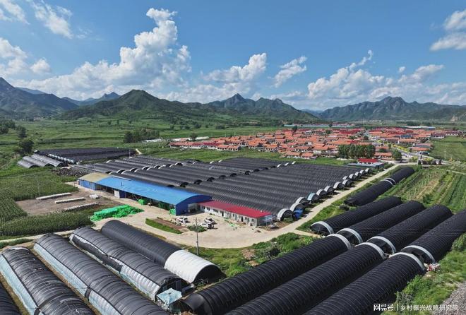 河北省国家农业产业强镇发展现状分析报告（2025年）(图1)