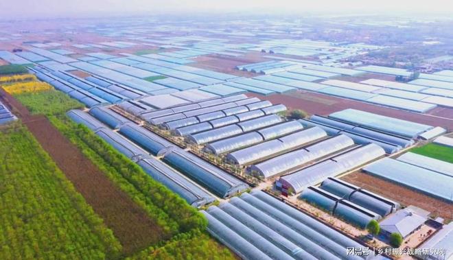 河北省国家农业产业强镇发展现状分析报告（2025年）(图5)