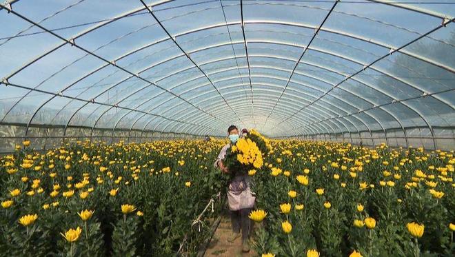 科技赋能绘就盘锦农业现代化发展新图景(图2)