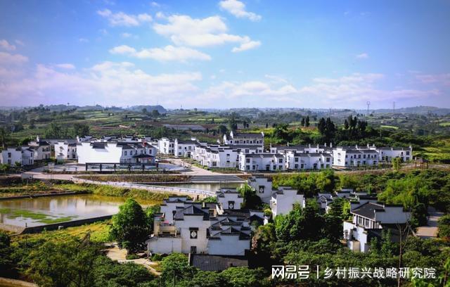四川国家农业产业强镇发展现状分析报告(图3)